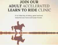 a screenshot of a cell phone