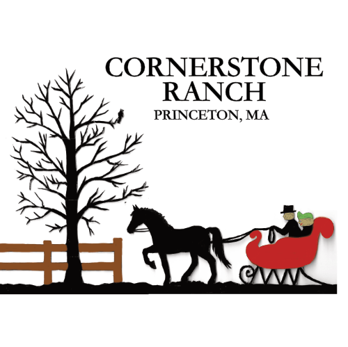 a close up of an animal