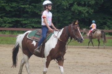 a person riding a horse in an arena