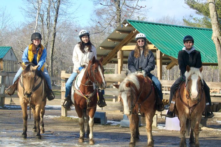 a group of people riding on the back of a horse
