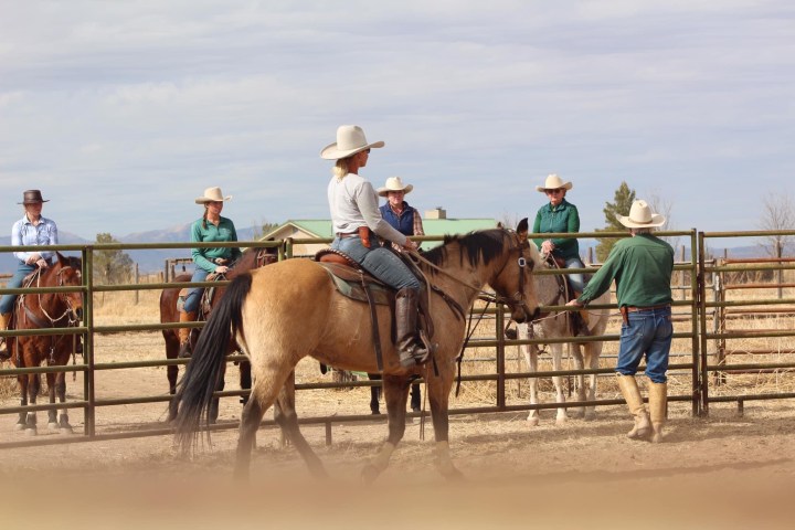 a group of people riding on the back of a horse