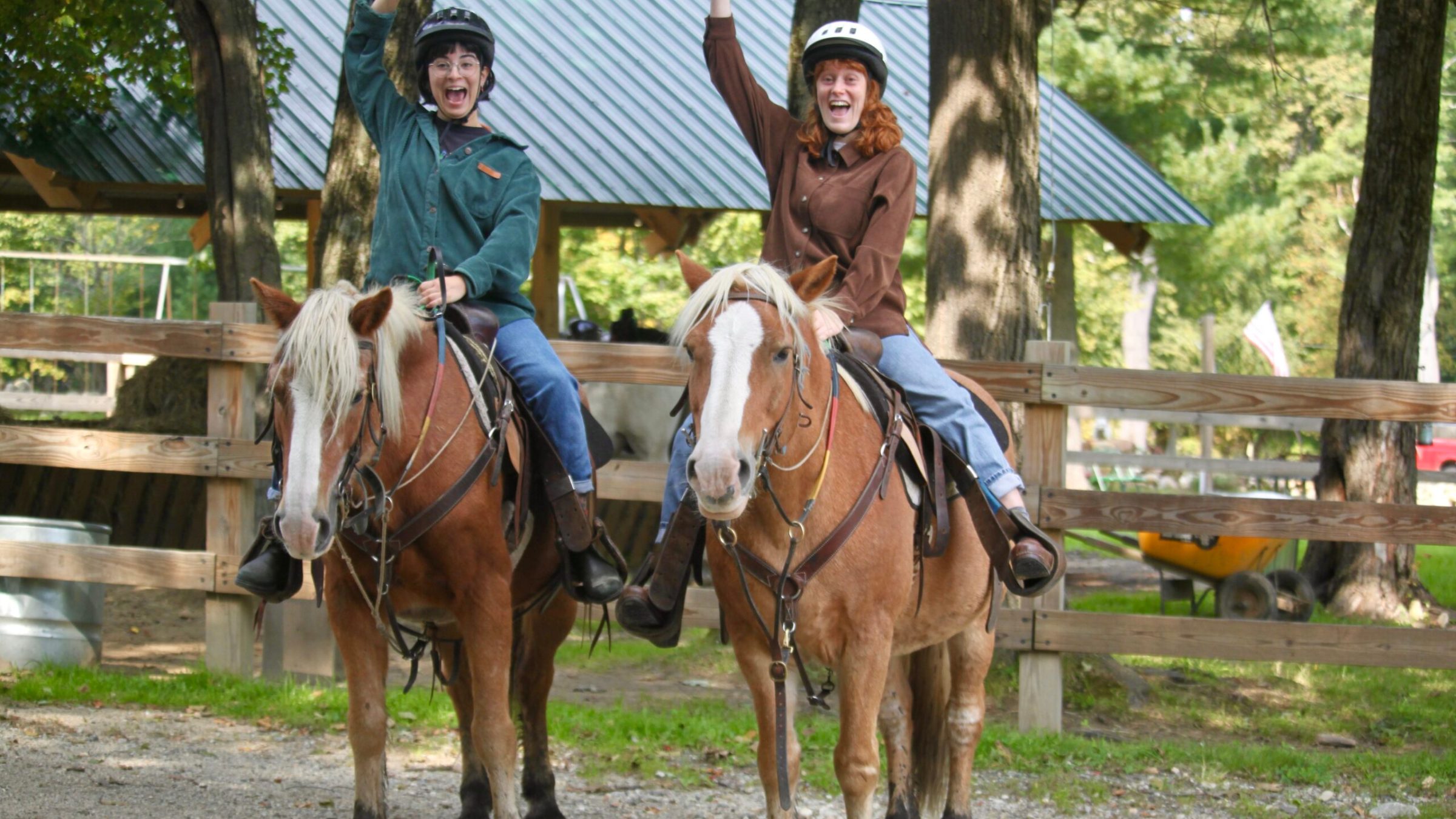 a person riding a horse