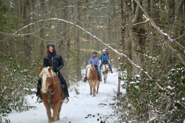 a man riding a horse in the snow