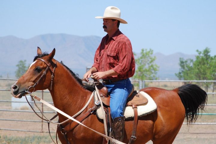 a person riding a horse