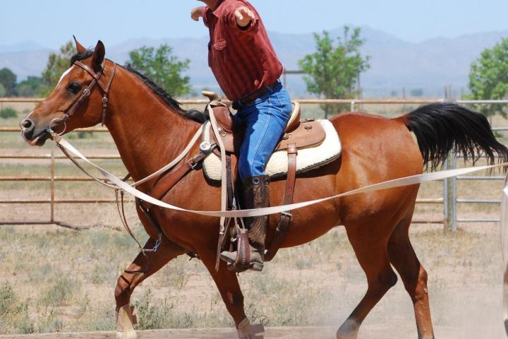 a man riding a horse