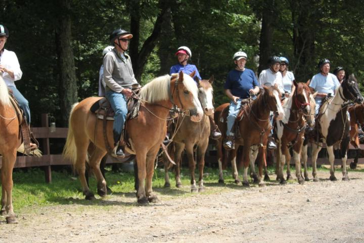 a group of people riding on the back of a horse