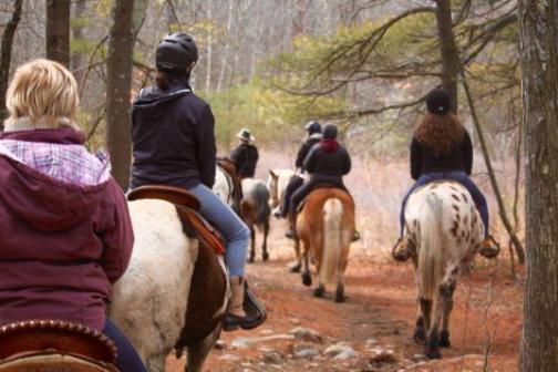 a group of people riding on the back of a horse