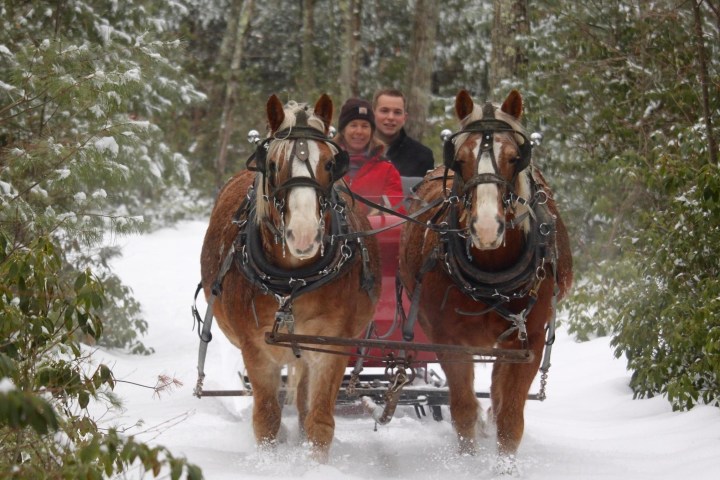 a man riding a horse drawn carriage