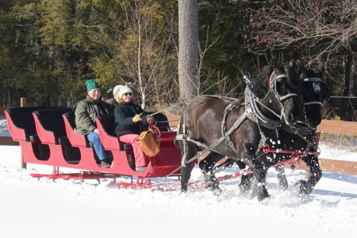 a man riding a horse drawn carriage with people in the snow
