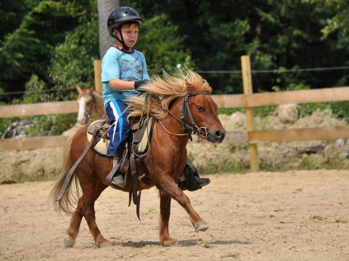a man riding a horse in the dirt