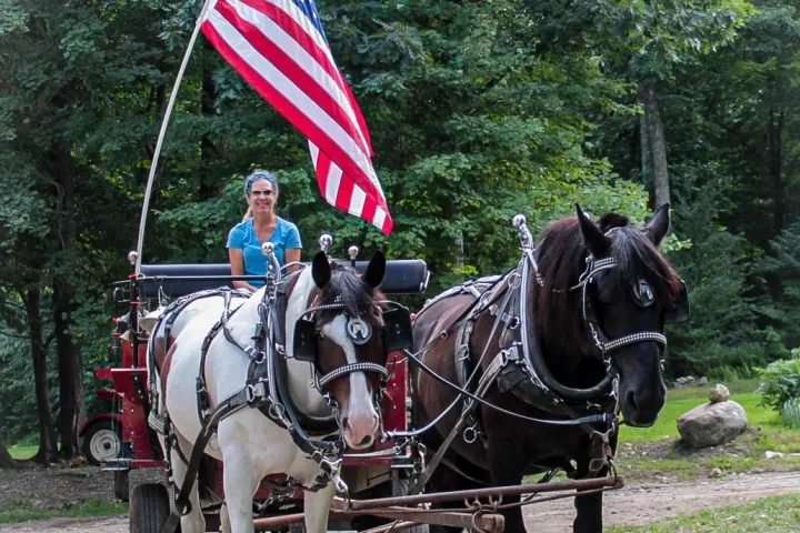 a man riding a horse drawn carriage