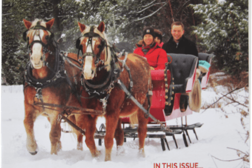 a group of people riding on the back of a horse