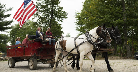 a man riding a horse drawn carriage