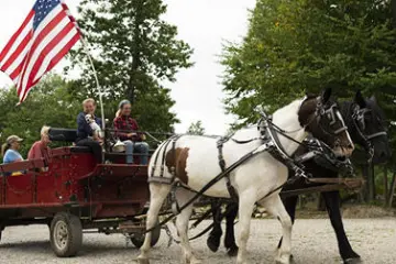 a man riding a horse drawn carriage