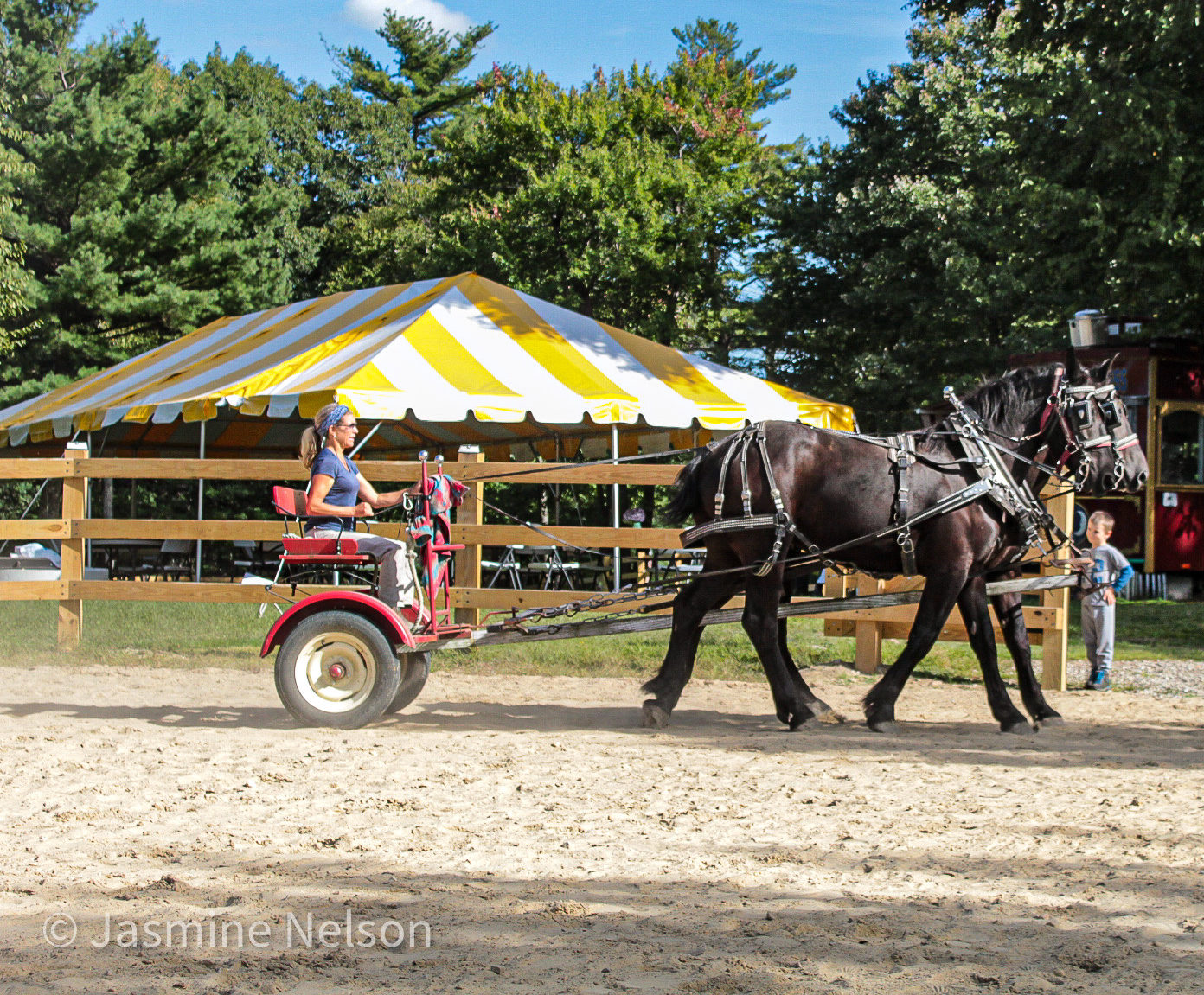 F&F 09-12-20 driving Percheron horses