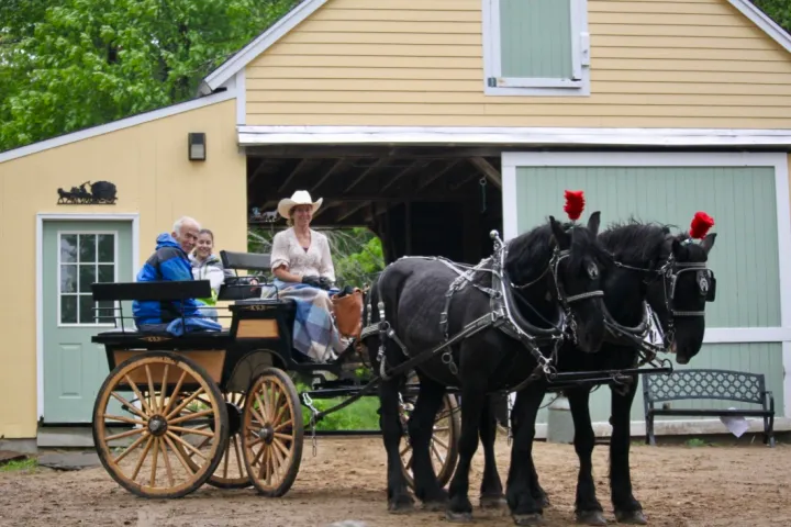 a man riding a horse drawn carriage in front of a house