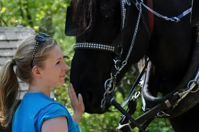 a person standing next to a horse