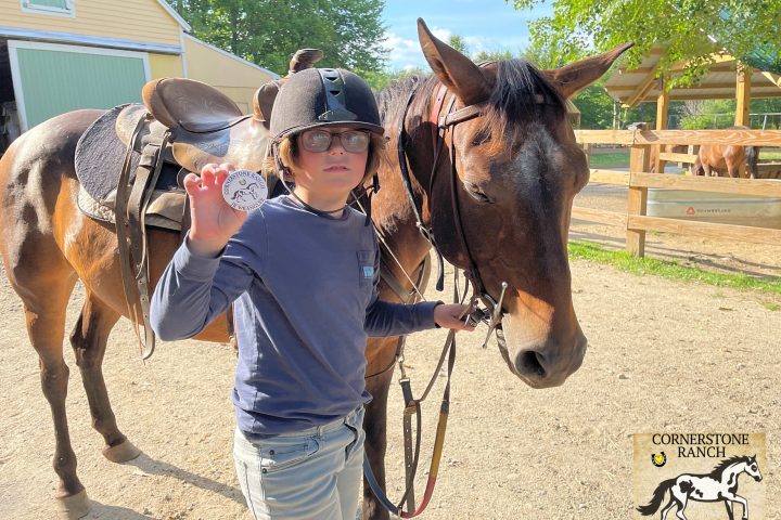 a person petting a brown horse