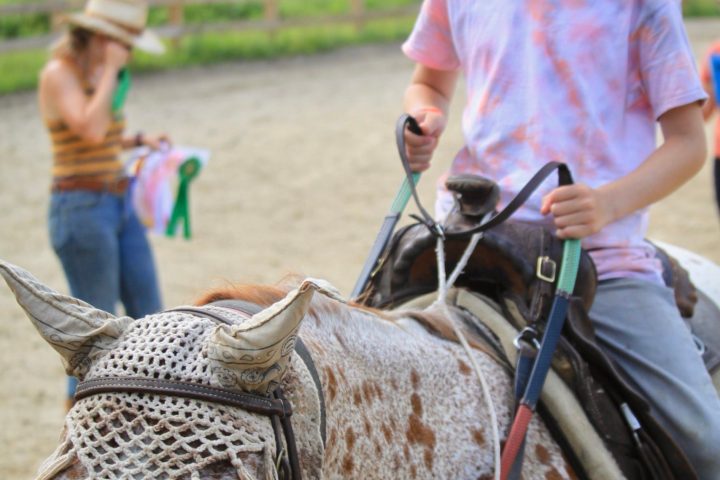 a group of people riding on the back of a horse