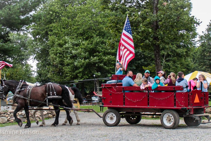 a man riding a horse drawn carriage