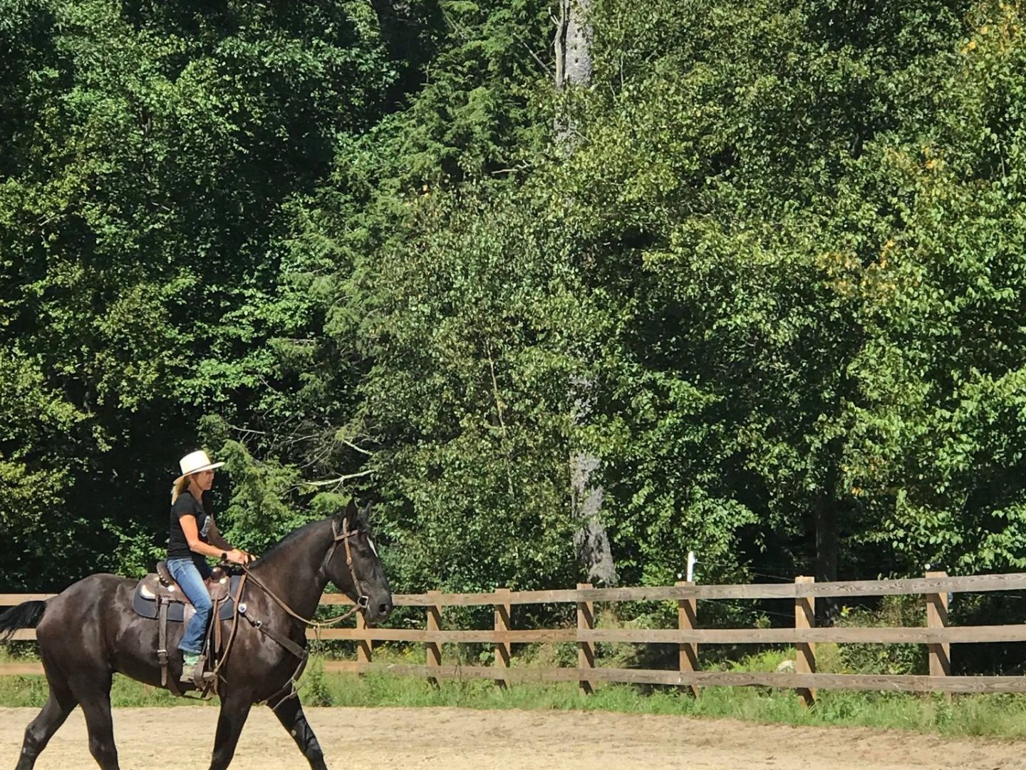 a man riding a horse next to a tree