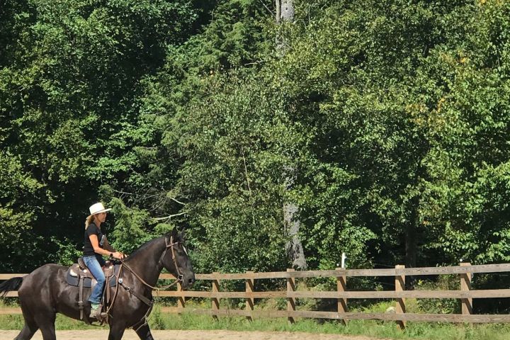 a man riding a horse next to a tree