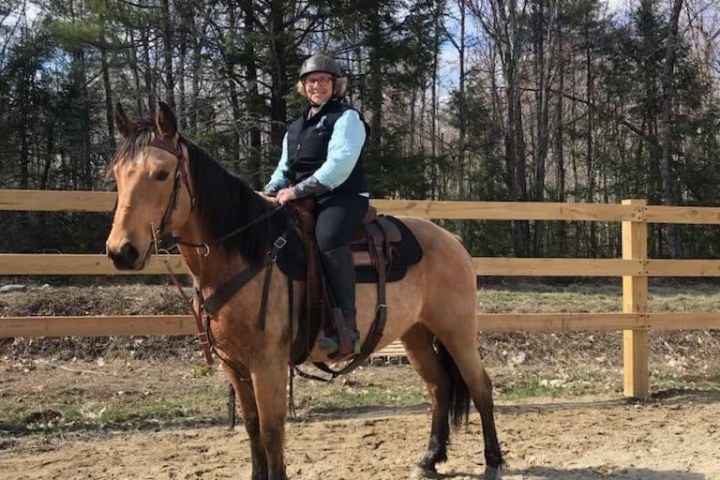 a person riding a horse in a fenced in area