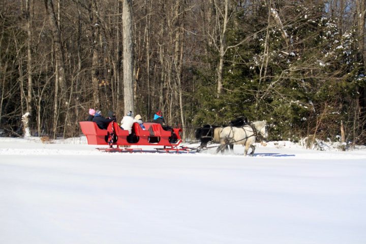 a group of people cross country skiing in the snow
