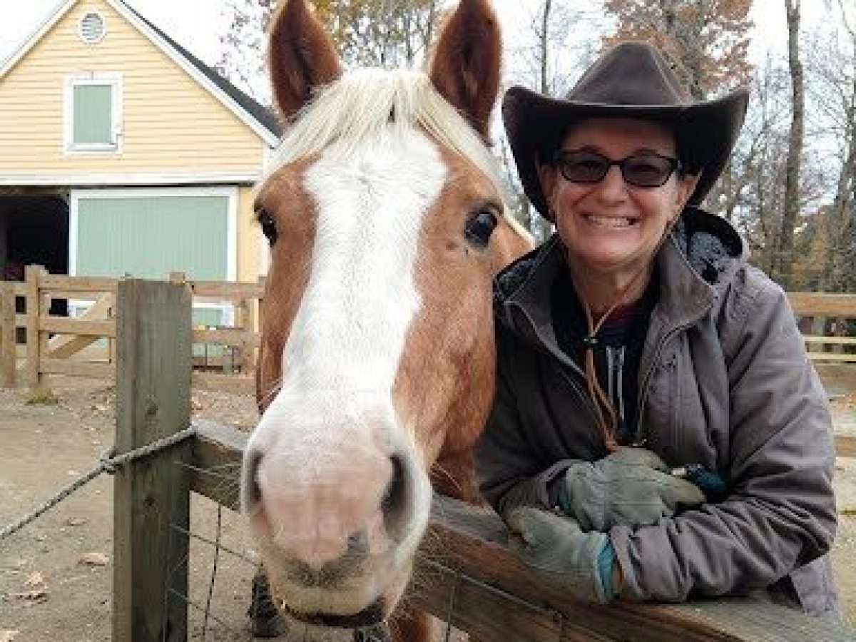 a person petting a brown horse standing next to a fence