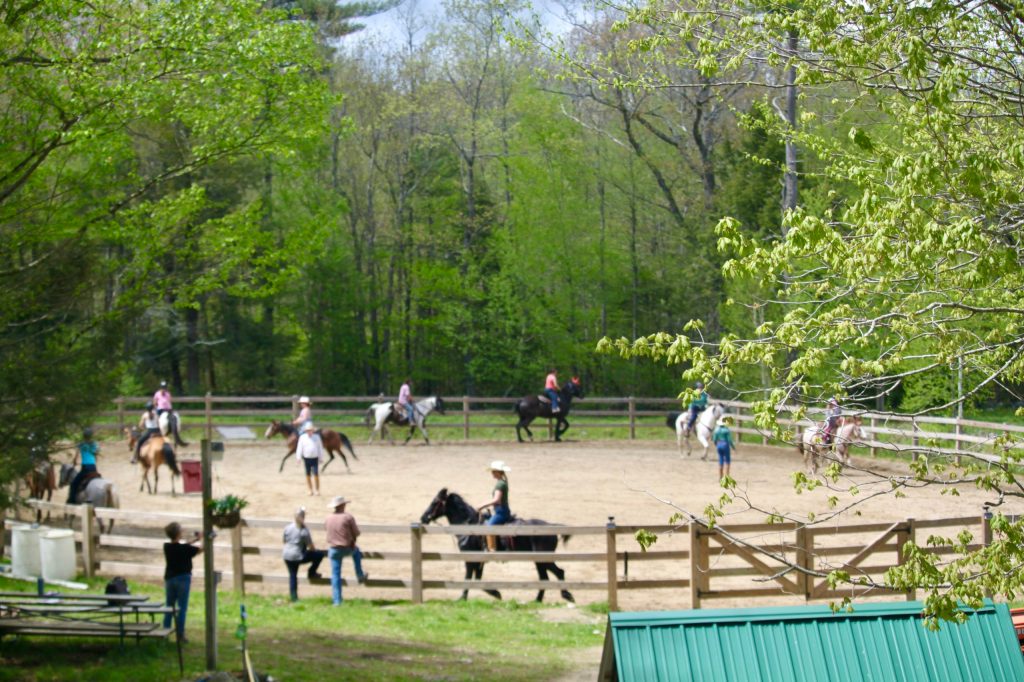 Horseback Riding Clinic