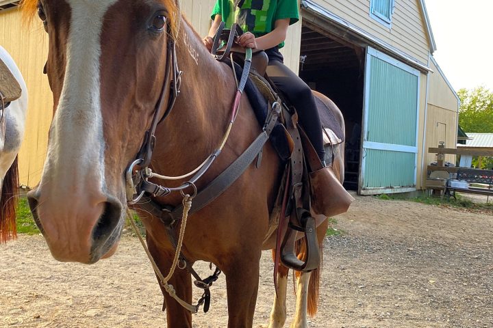 a man riding on the back of a brown horse