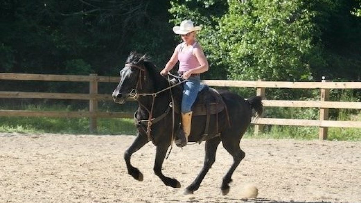 a person riding a horse