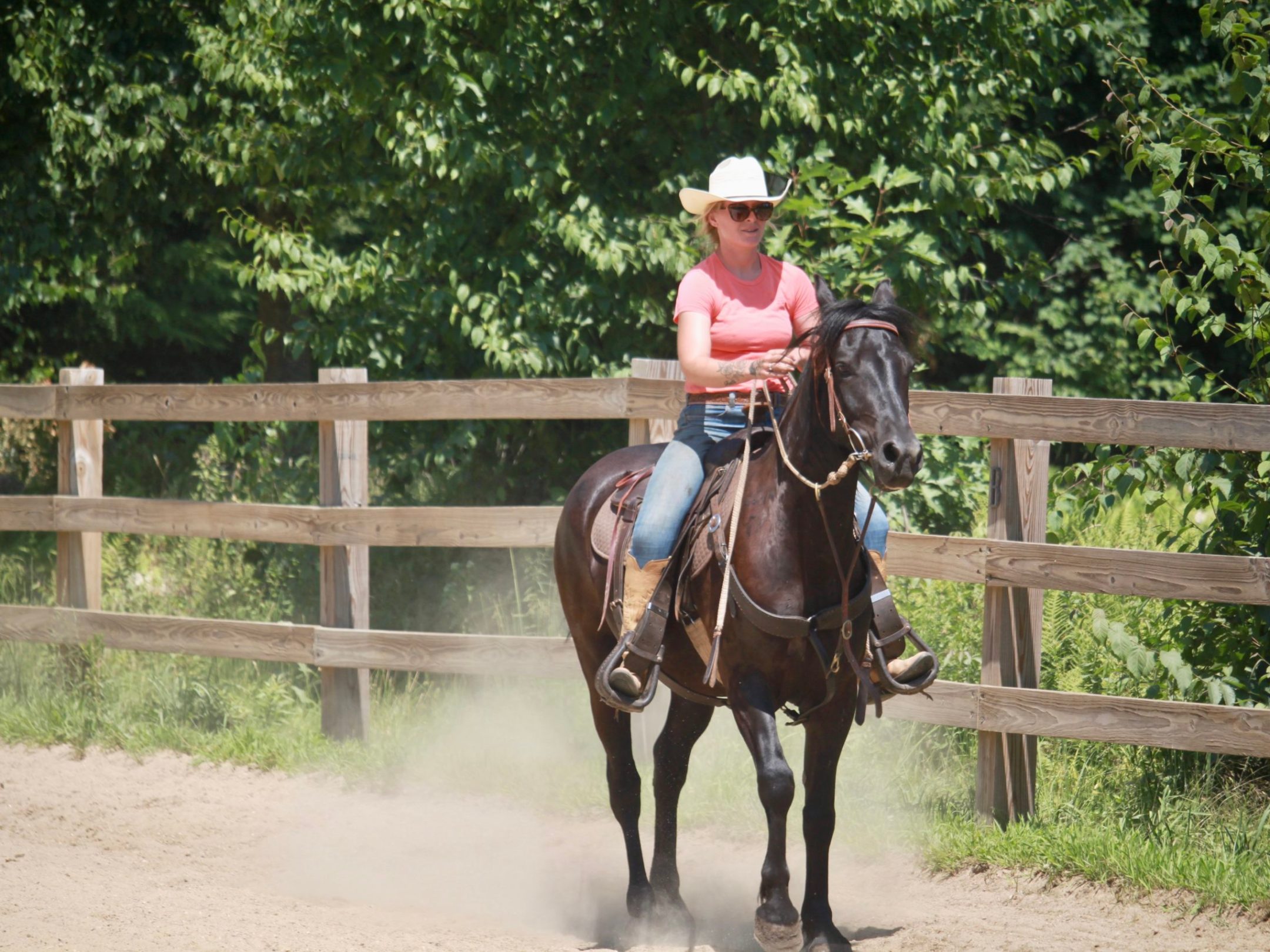 a person riding a horse