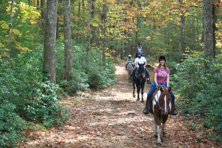 Riding horses on a trail