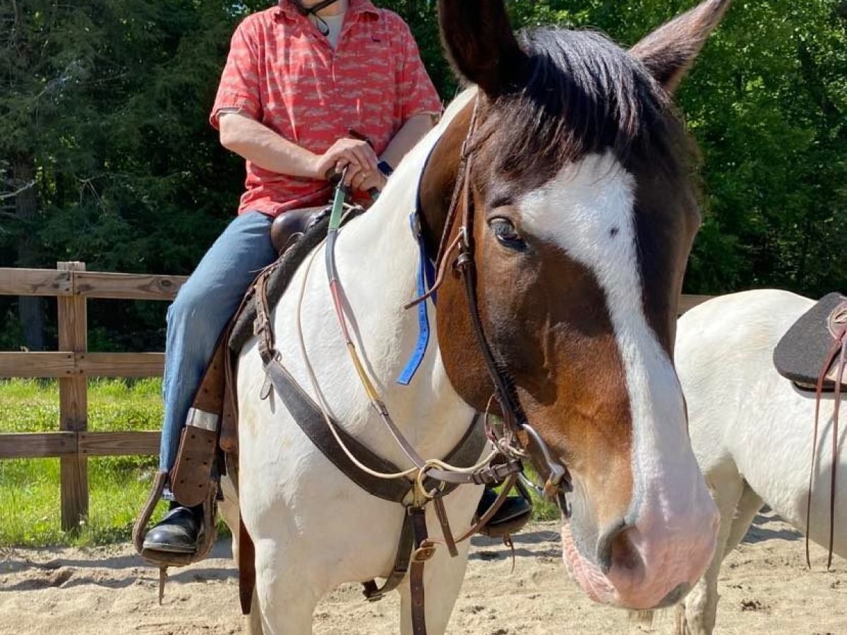a person riding a horse