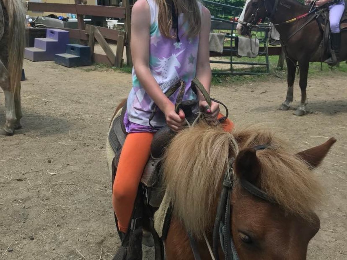 a person riding on the back of a brown horse