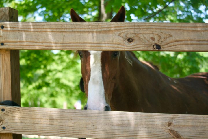 a close up of a brown wooden bench sitting next to a fence