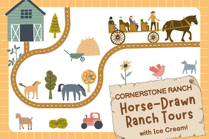 Horse-Drawn Wagon Ranch Tour © with Ice Cream