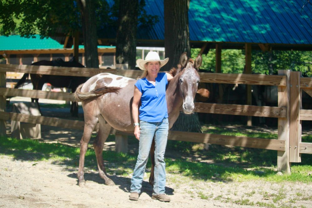 a person standing with a mule