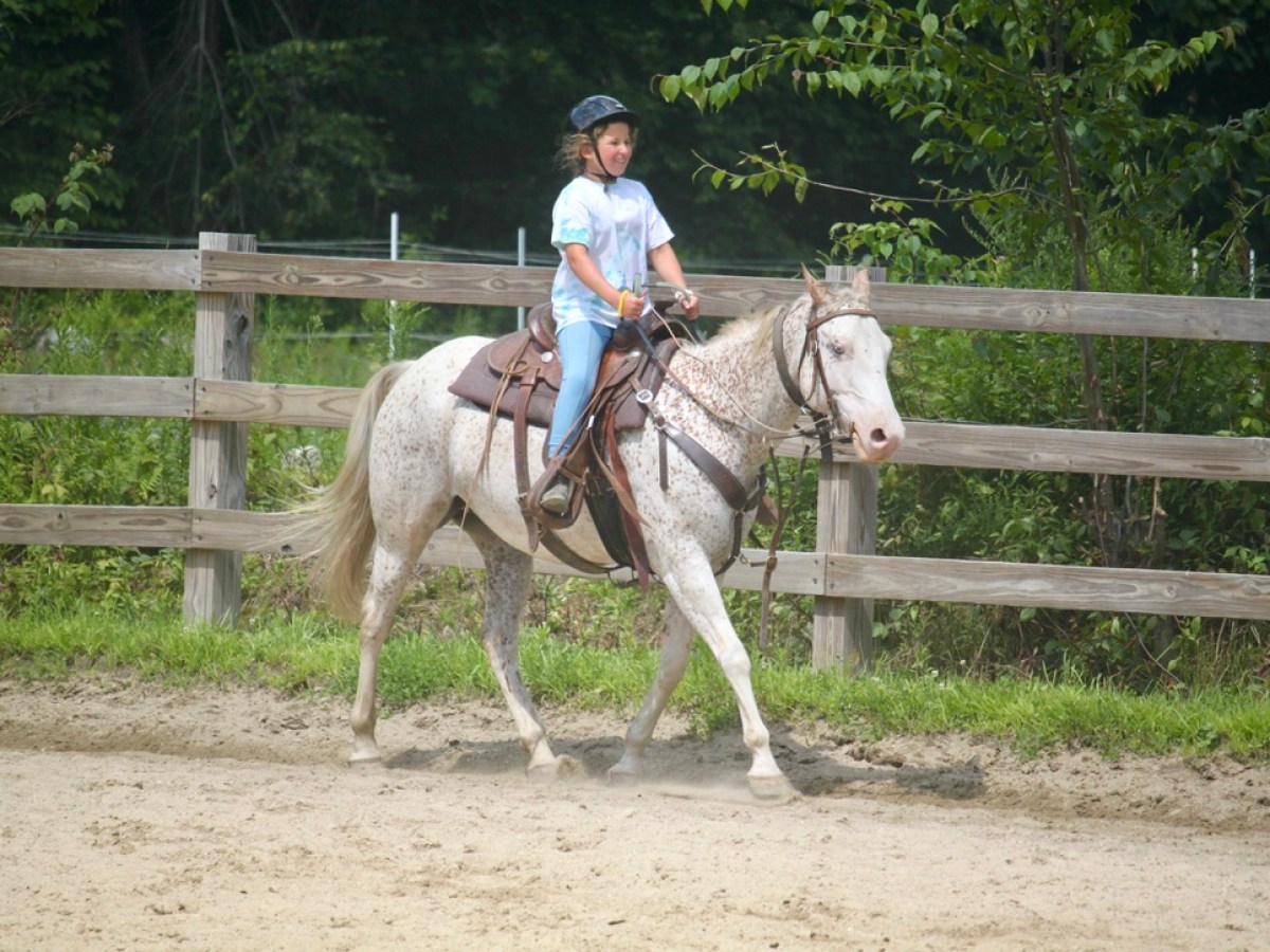 a person riding a horse next to a fence