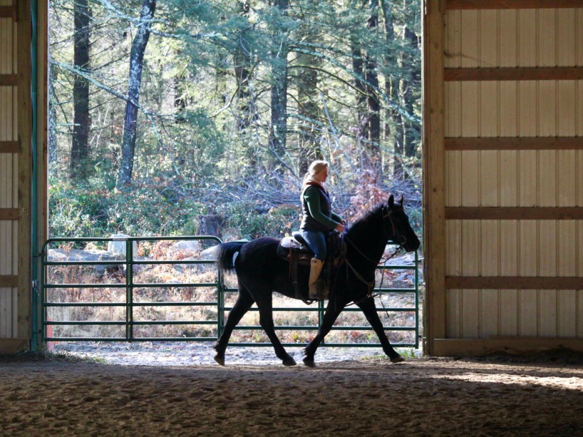 a person riding a horse