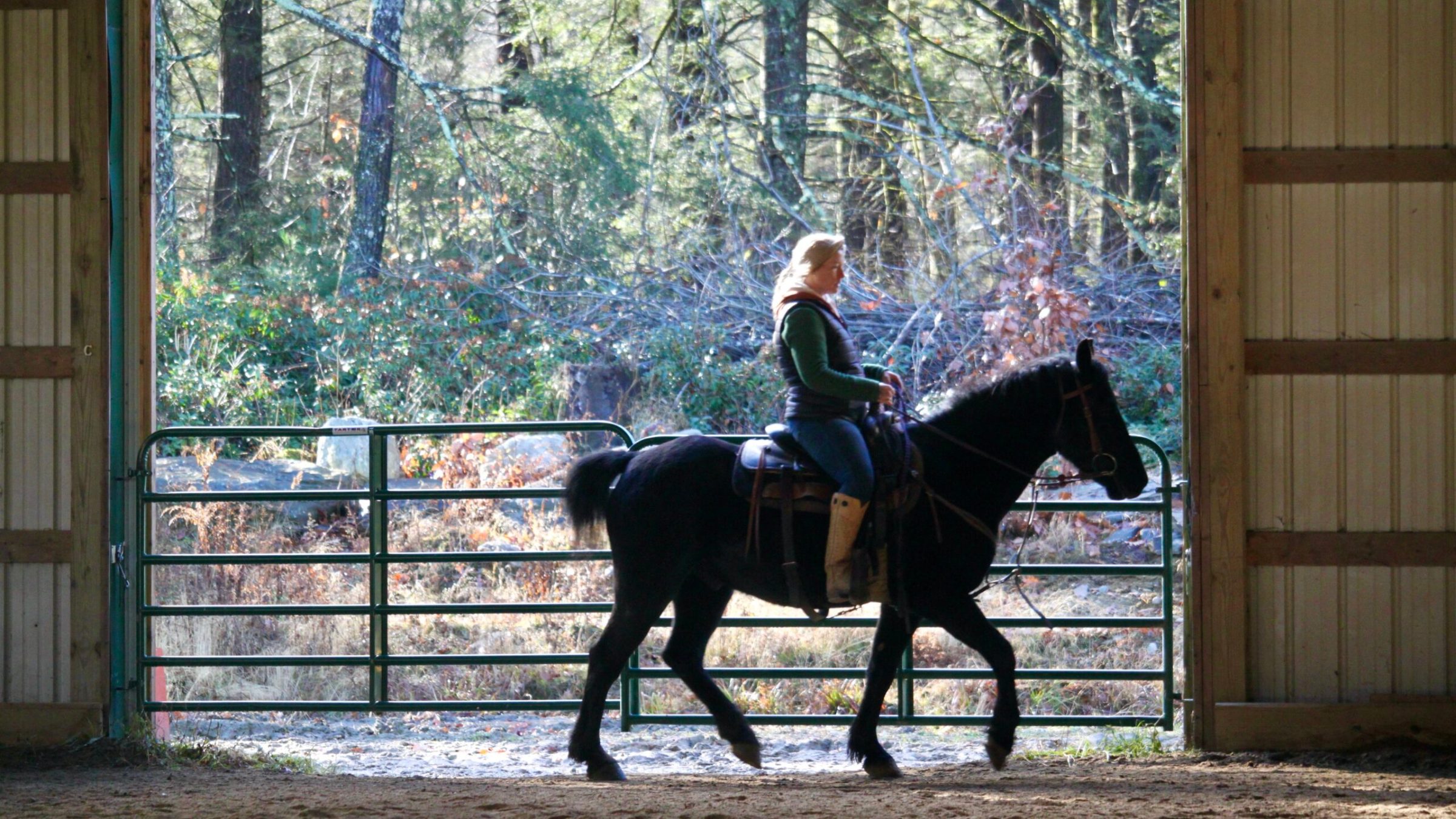 a person riding a horse
