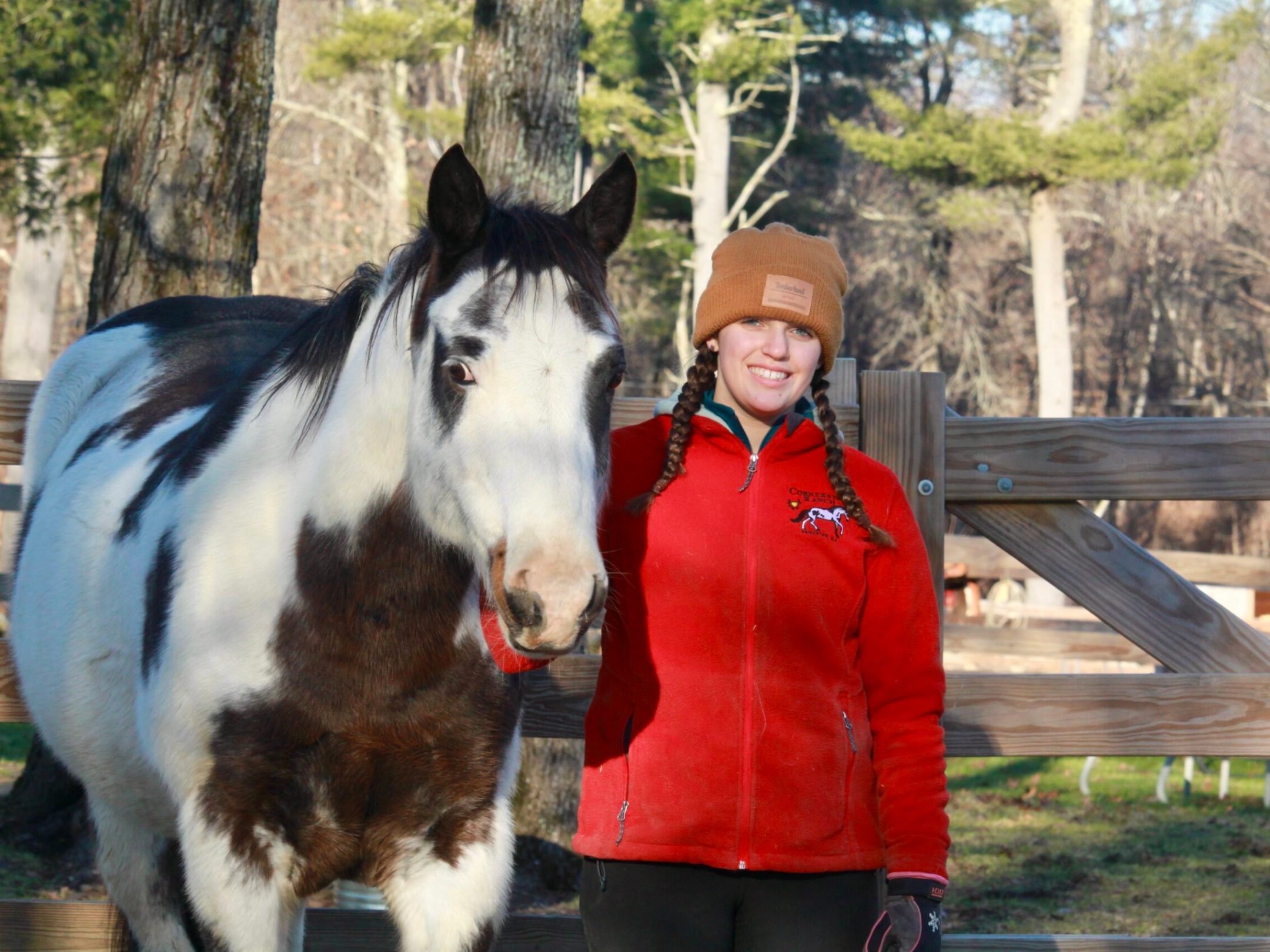 a brown horse standing next to a fence