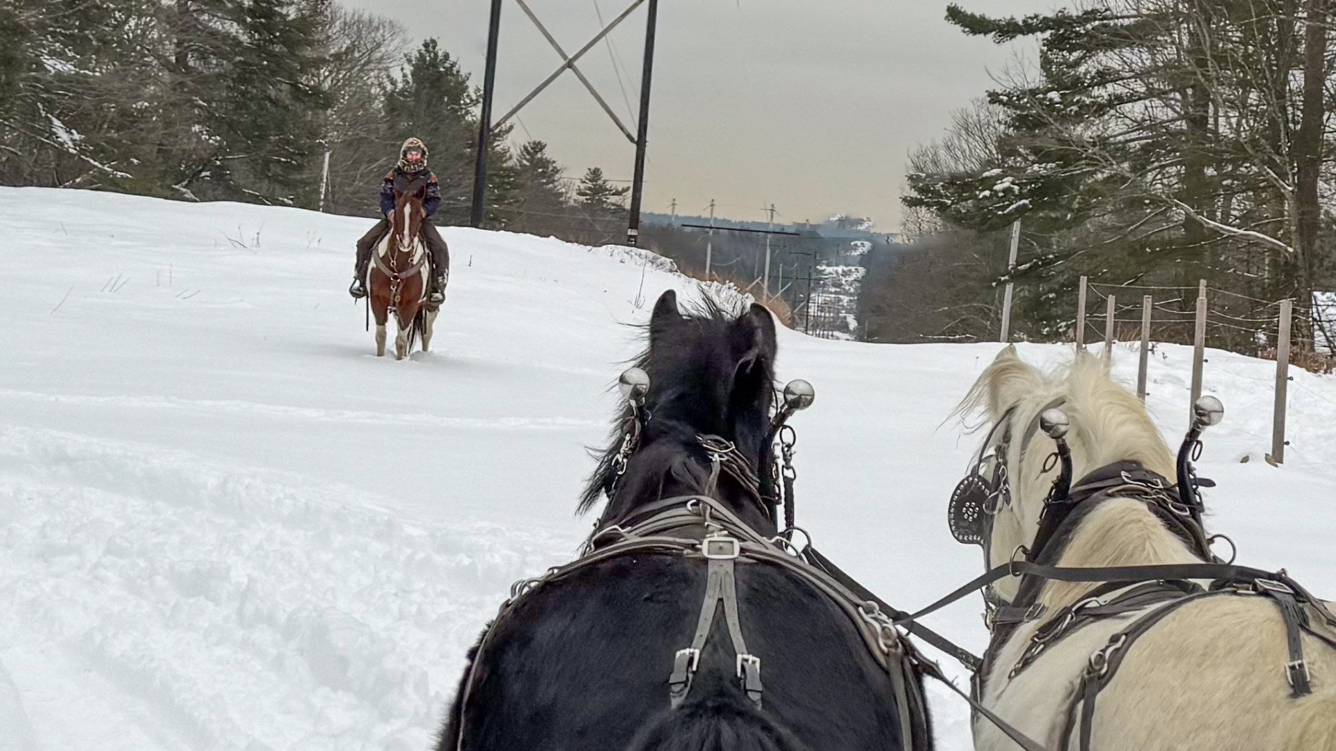 a person riding a horse in the snow
