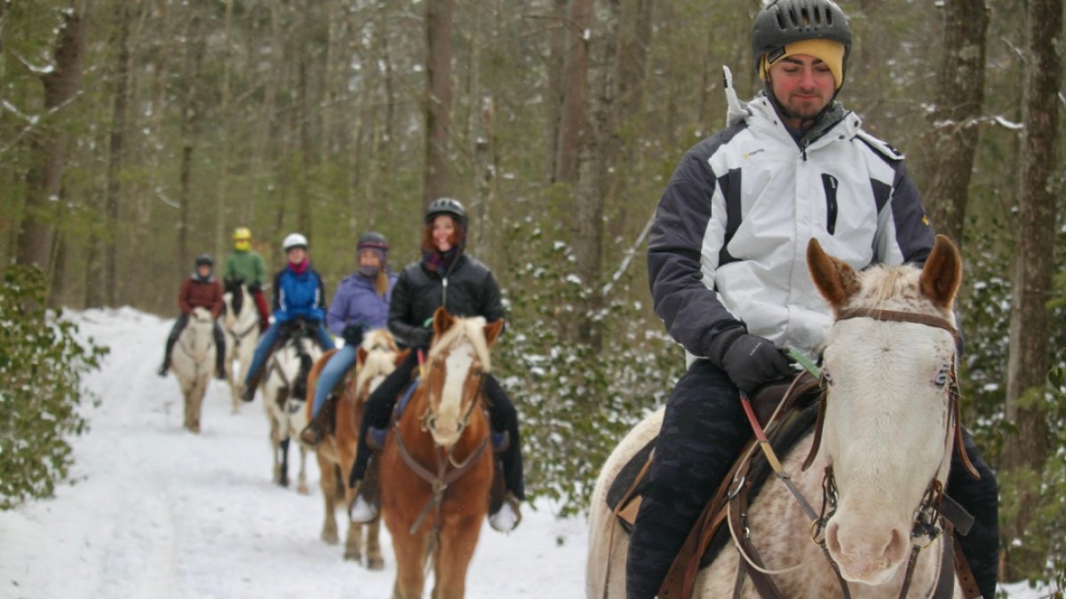 Stephen McGee et al. riding on the back of a horse