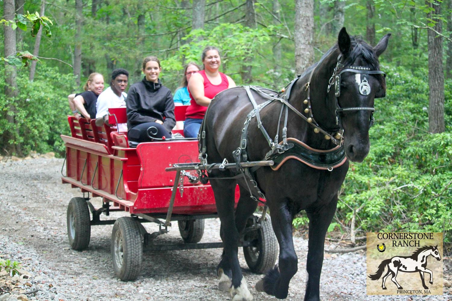 a man riding a horse drawn carriage