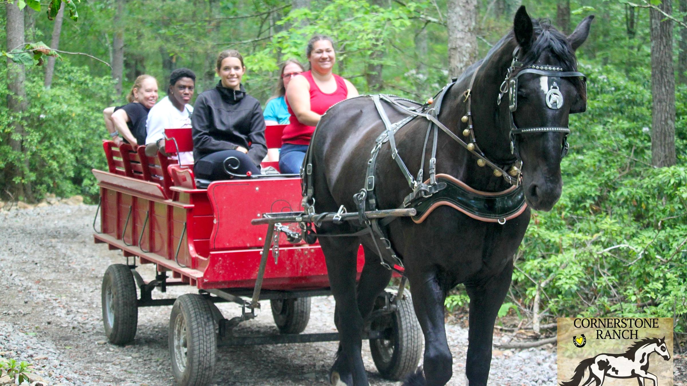 a man riding a horse drawn carriage