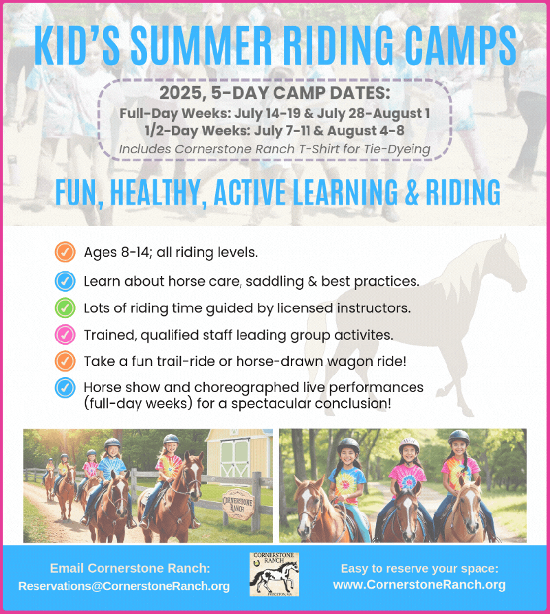Summer Riding Camp Graphic