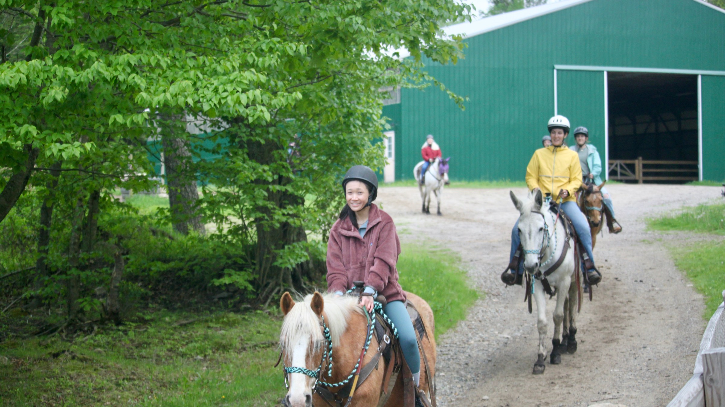 a group of people riding on the back of a horse