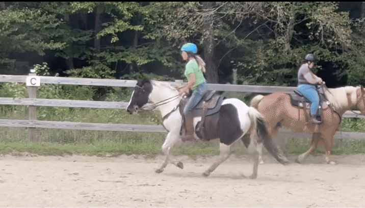 Faye, pinto mare at Cornerstone Ranch